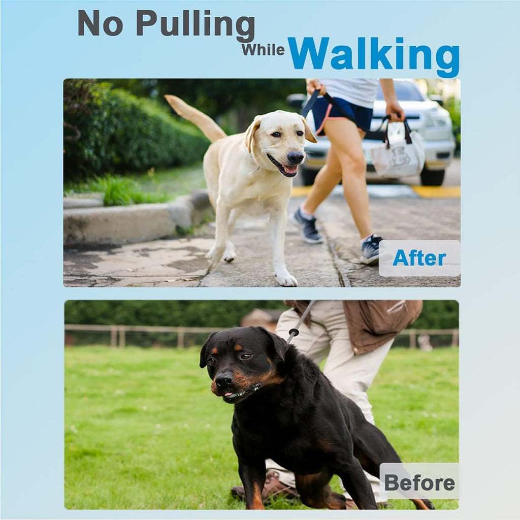 Dog Training Collar D485