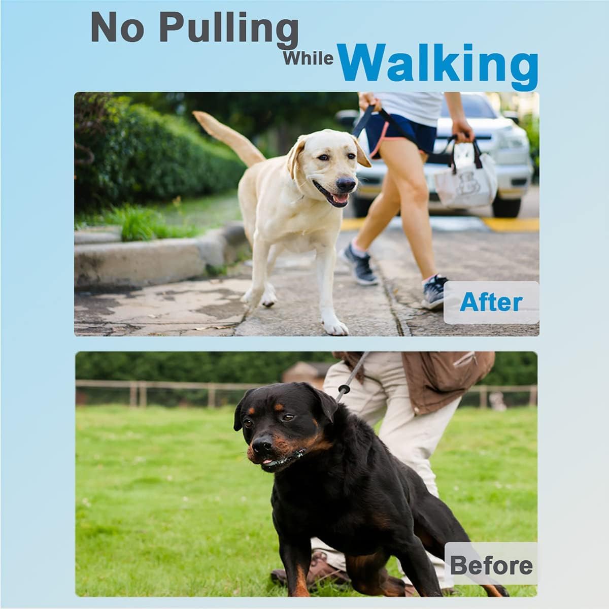 Dog Training Collar D485