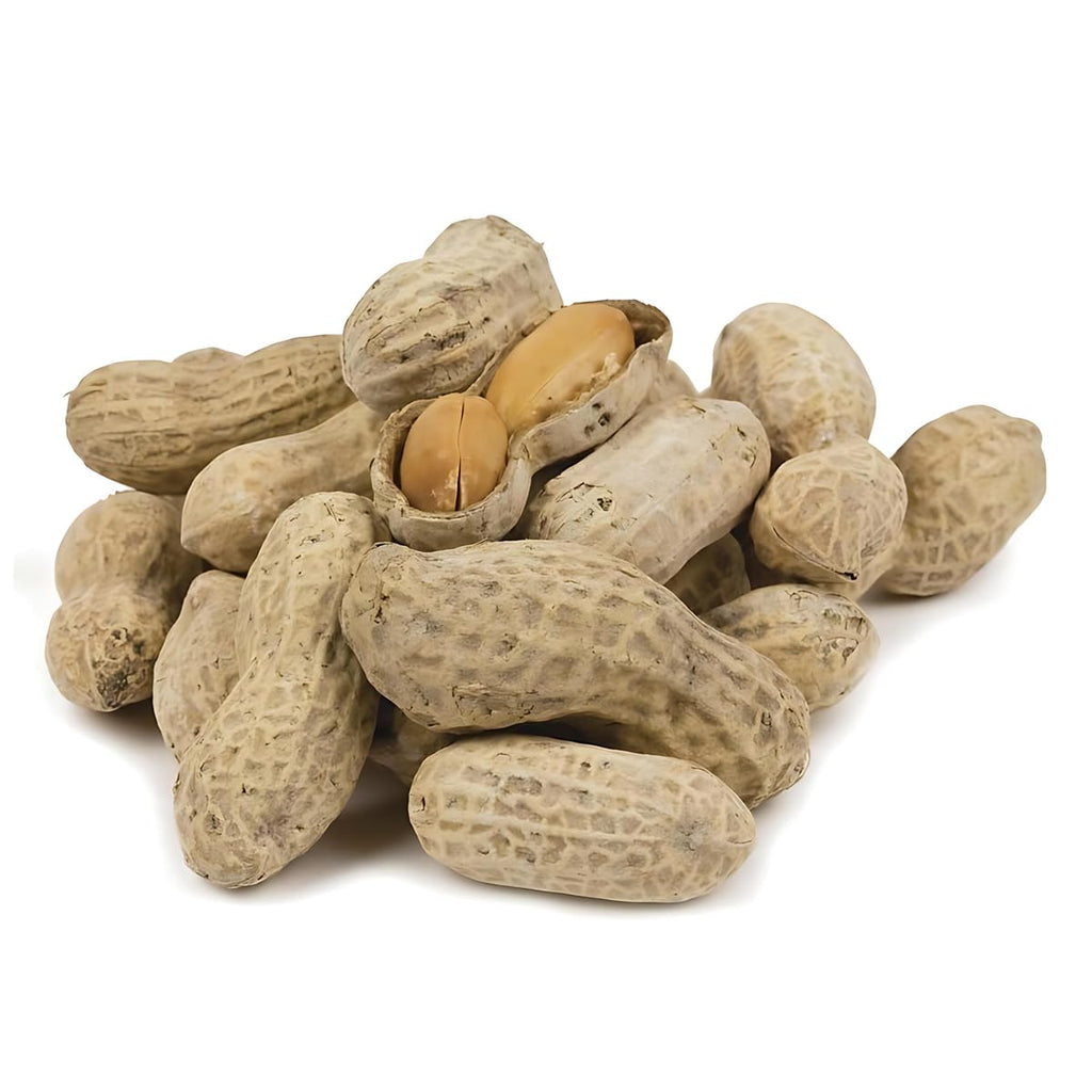 In-Shell Peanuts 10 Pounds V612