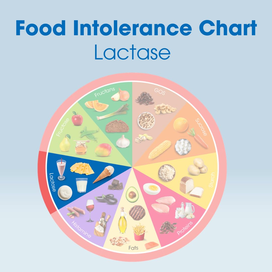 Lactase Digestive Enzymes 100 Tablet W853