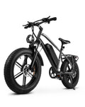 1000W Peak Electric Mountain Bike 48V 13Ah U453815