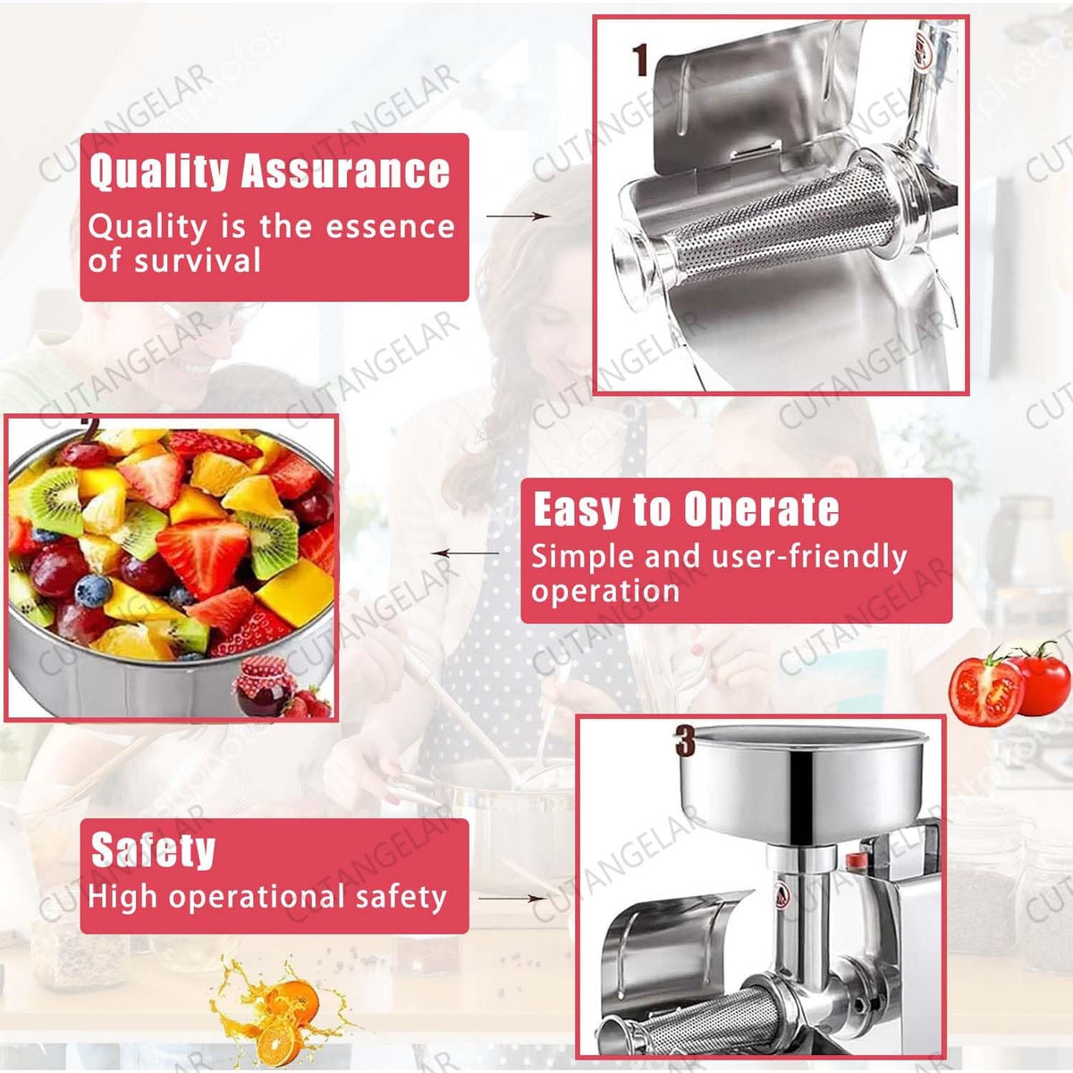 Stainless Steel 450W Tomato Grinder L90748
