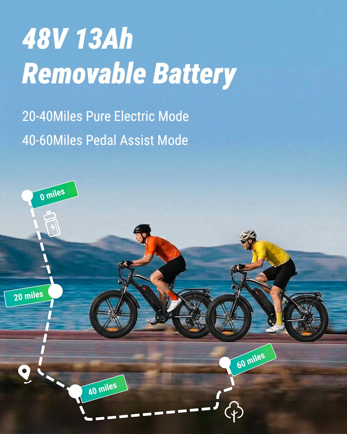 1000W Peak Electric Mountain Bike 48V 13Ah U453815