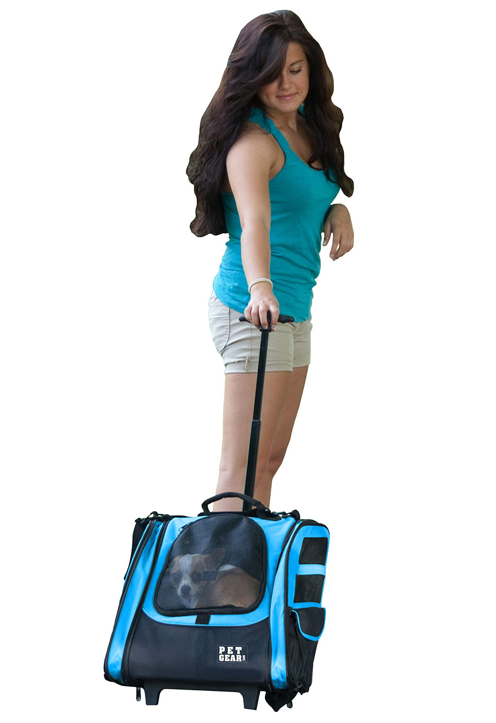 Large Traveler Backpack I5724