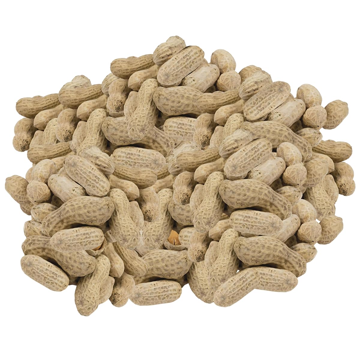 In-Shell Peanuts 10 Pounds V612