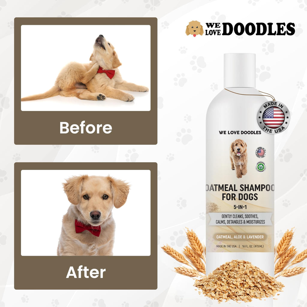 Oatmeal Shampoo & Conditioner for Dogs B3963