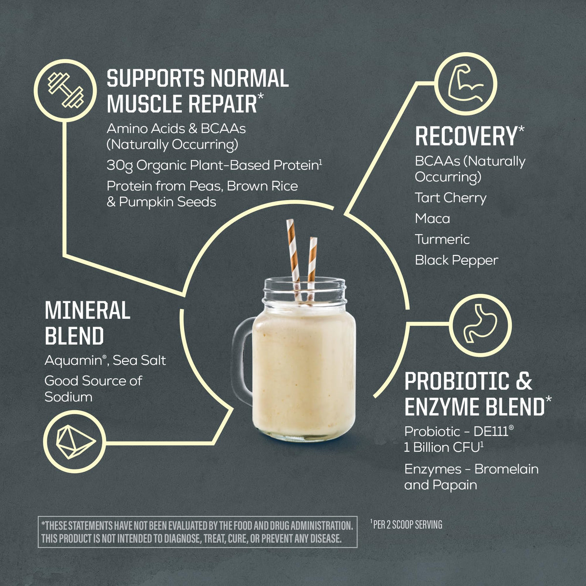 Organic Plant Based Protein Powder, Vegan, Vanilla, 20 Servings K2063