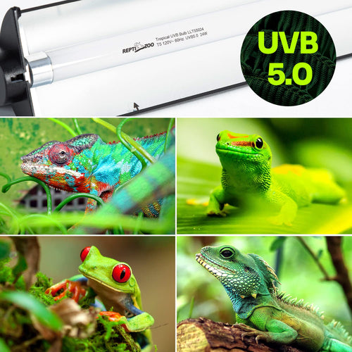 24W T5 HO UVB Lighting Combo Kit L4660