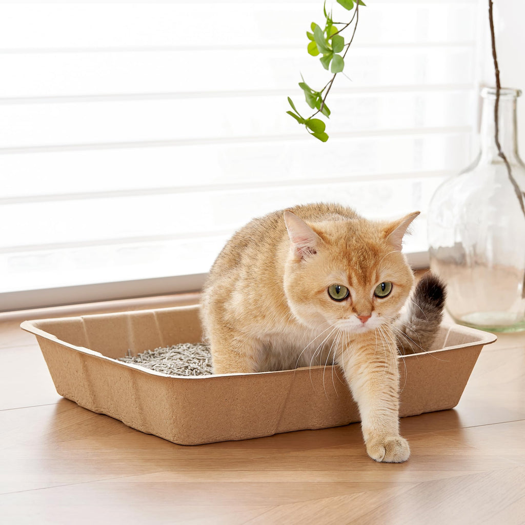 Disposable Cardboard Cat Litter Boxes 5 Pack F1435