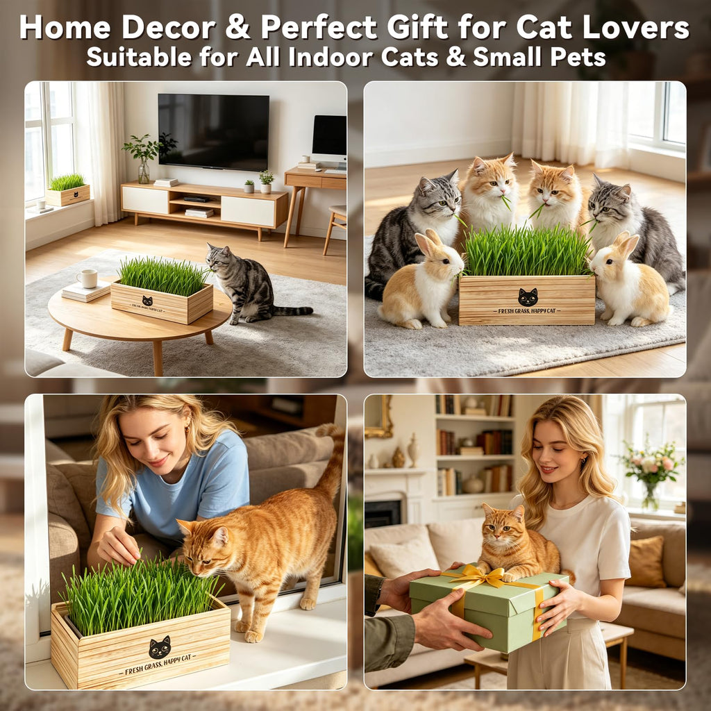 Cat Grass Kit Indoor Non-GMO Wheatgrass Seeds Growing Set T6477