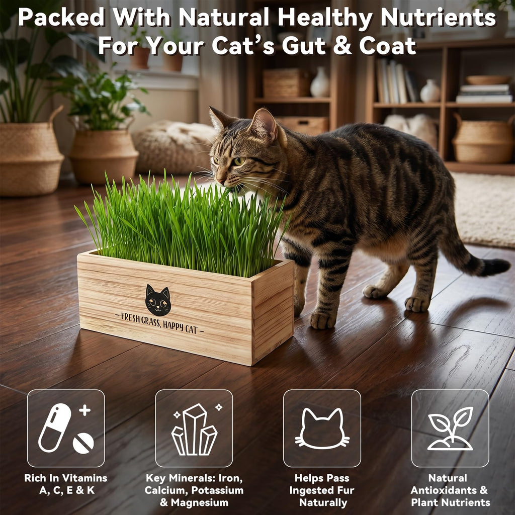 Cat Grass Kit Indoor Non-GMO Wheatgrass Seeds Growing Set T6477