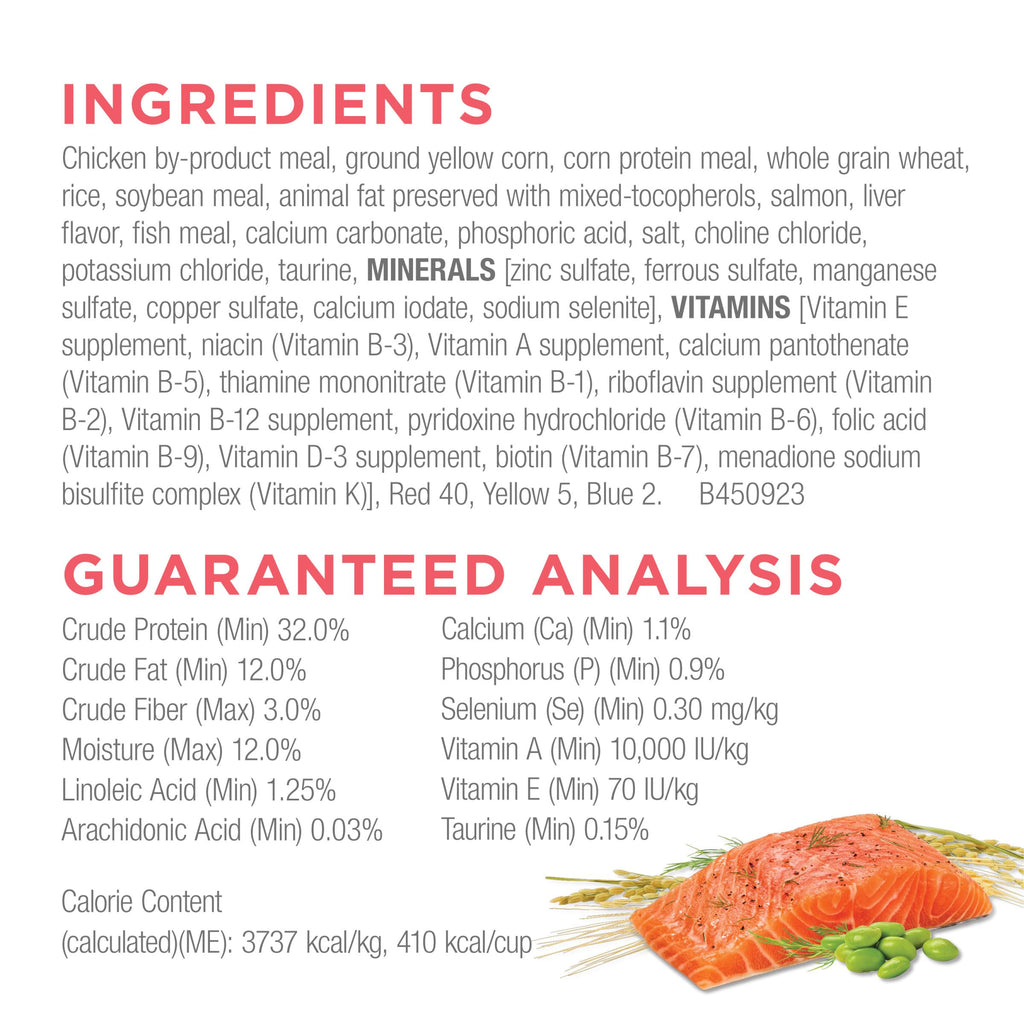 Salmon High Protein Dry Cat Food X3990