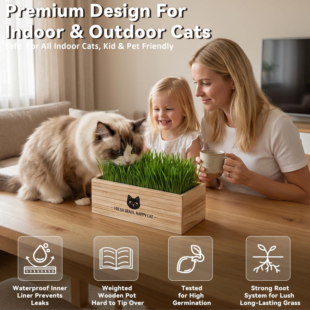 Cat Grass Kit Indoor Non-GMO Wheatgrass Seeds Growing Set T6477