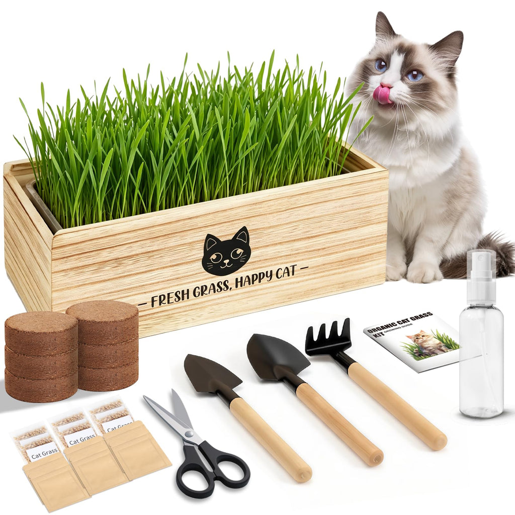 Cat Grass Kit Indoor Non-GMO Wheatgrass Seeds Growing Set T6477