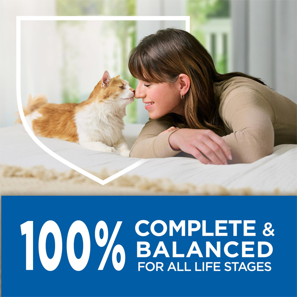 Salmon High Protein Dry Cat Food X3990