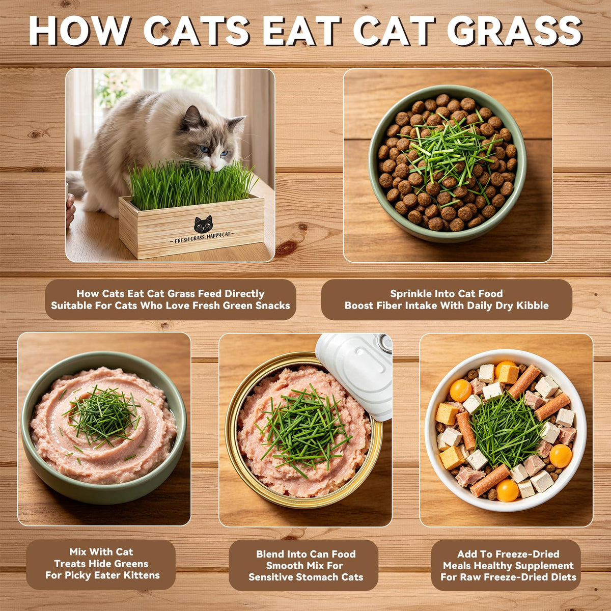 Cat Grass Kit Indoor Non-GMO Wheatgrass Seeds Growing Set T6477