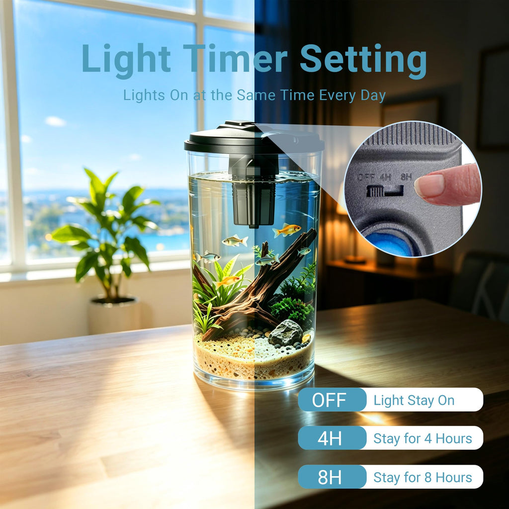 6-Gallon Aquarium Kit with LED Lighting and Power Filter R6948