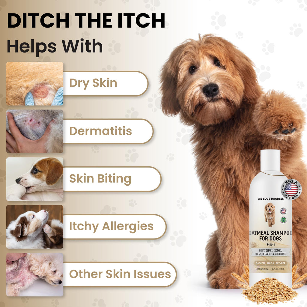 Oatmeal Shampoo & Conditioner for Dogs B3963