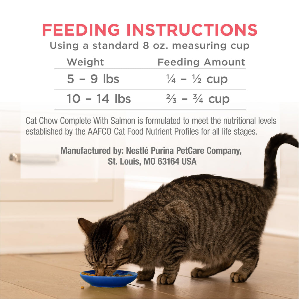 Salmon High Protein Dry Cat Food X3990