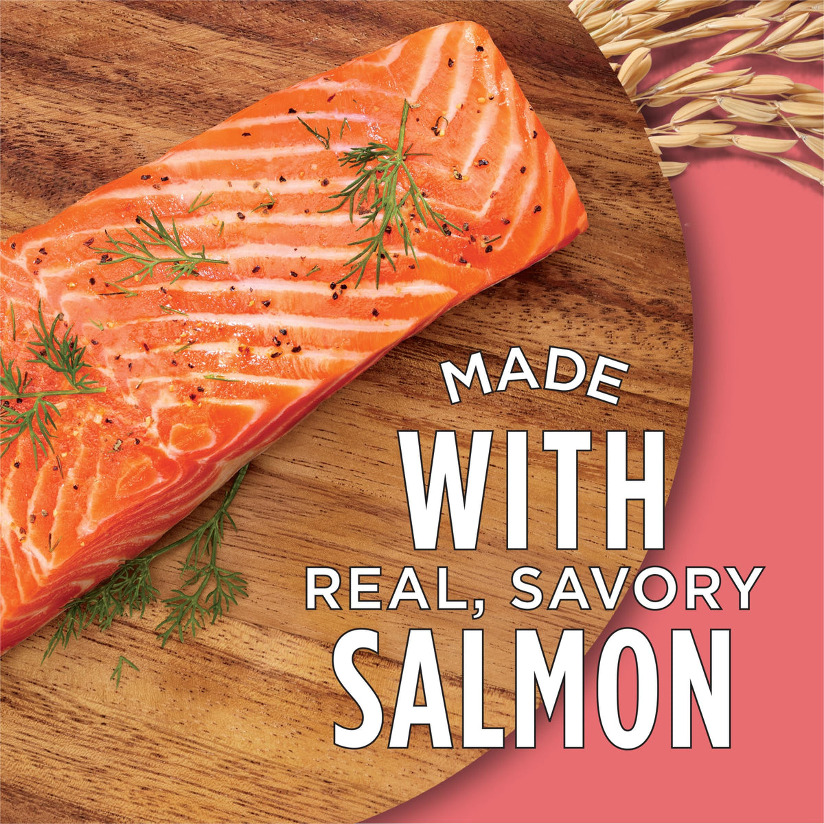 Salmon High Protein Dry Cat Food X3990