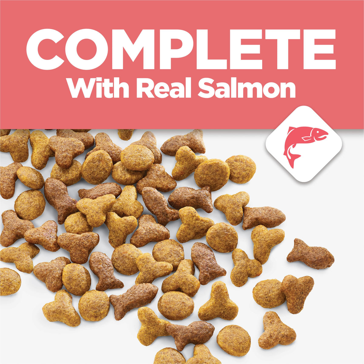 Salmon High Protein Dry Cat Food X3990